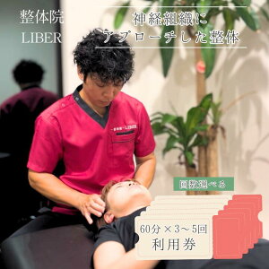 【ふるさと納税】整体院 LIBER 神経組織にアプローチした整体 60分×3~5回 利用券 / 整体 整体院 肩こり 腰痛 関節痛