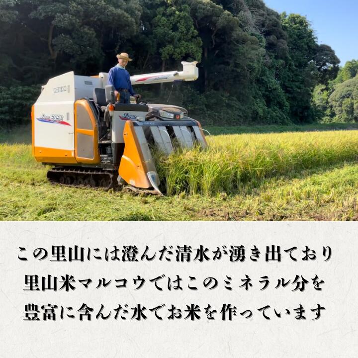 【ふるさと納税】里山米マルコウ　にじのきらめき　5kg　精米／ 米 こめ コメ お米 おこめ にじのきらめき 令和7年産 新米 白米 精米 ごはん ご飯 5kg 千葉県 匝瑳市 送料無料