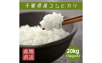 No.216 千葉県産コシヒカリ　20kg（5kg×4袋） ／ お米 精米 こしひかり 送料無料 千葉県