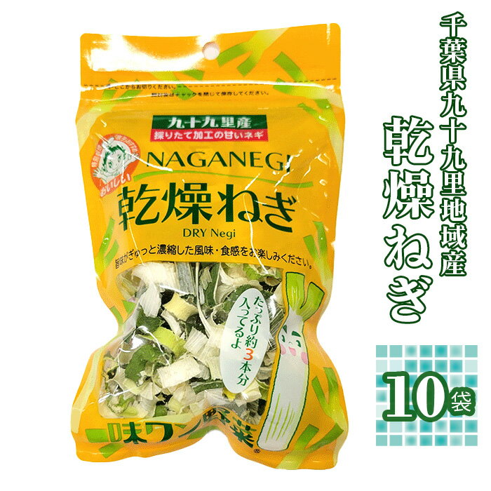 千葉県九十九里地域産 乾燥ねぎ 10袋入 / ネギ 甘み うま味 携帯食 送料無料 千葉県