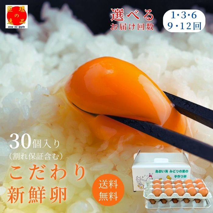 【ふるさと納税】\ 選べる回数 / 九十九里ファームこだわりたまご贈答用30個〜あおい海・みどりの里〜《赤玉》 卵 タマゴ 玉子 たまご こだわり 新鮮 旨み 甘み 卵白 卵黄 ゆで卵 卵かけごはん TKG たまごかけごはん エッグ 送料無料 千葉県