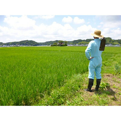 【ふるさと納税】変な鮨屋の鮨懐石　半農半鮨　まこと屋のお食事券(1名様分)【1128312】