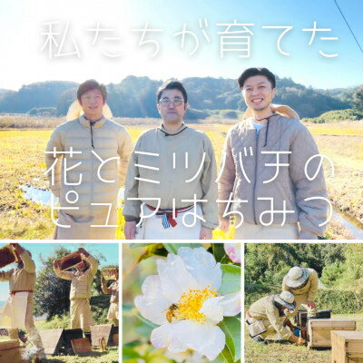 【ふるさと納税】水の郷の花々から採ったそのまま「生はちみつ」 非加熱・無添加・無加工 国産純粋百花はちみつ【1277767】