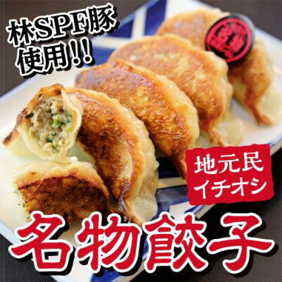 小見川名物餃子　25個入