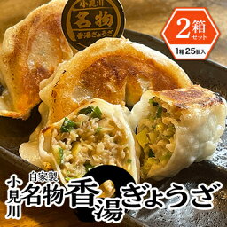 【ふるさと納税】【自家製】小見川名物餃子　25個入×2箱【配送不可地域：離島】【1377110】