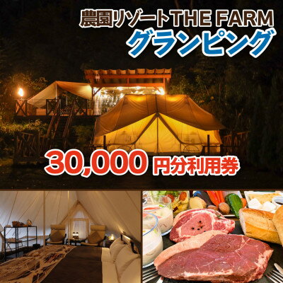 グランピング宿泊にも使えるTHE FARM利用券【配送不可地域：離島・沖縄県】【1422343】