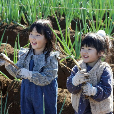 【ふるさと納税】手ぶらでOK!THE FARMの旬の野菜収穫体験引換券(1袋)【1422347】