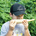 【ふるさと納税】THE FARMで収穫体験&採れたて新鮮野菜をBBQで食べる贅沢な食体験(2名様)【1422348】 2