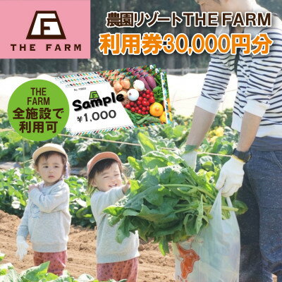 3位! 口コミ数「0件」評価「0」BBQやキャンプなども楽しめる複合施設 THE FARM利用券30,000円分【1435763】