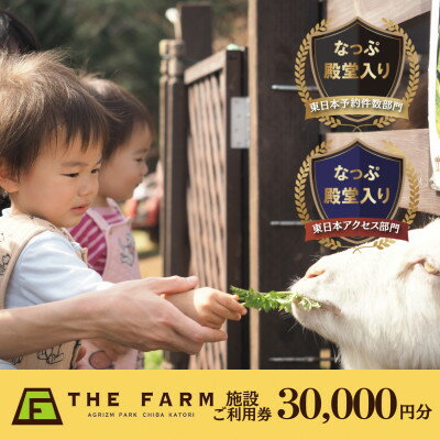 BBQやキャンプなども楽しめる複合施設 THE FARM利用券30,000円分【1435763】