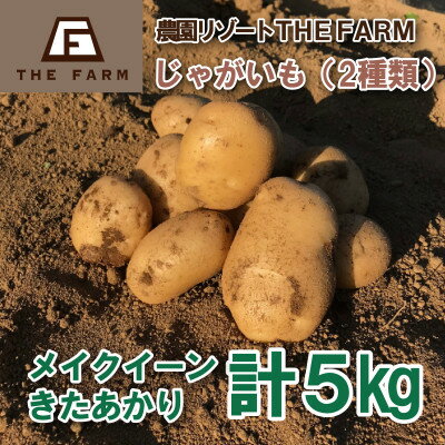 ザファームのじゃがいも2種食べ比べセット5kg[先行予約品・返礼品の発送は2024年5月15日以降][配送不可地域:離島・沖縄県]