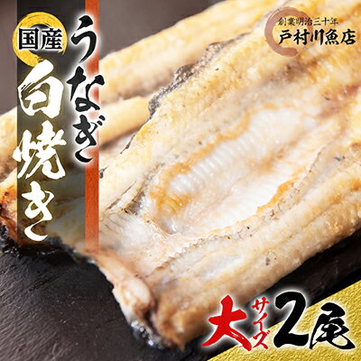 【ふるさと納税】戸村川魚店 の 国産 うなぎ 白焼き 大サイ