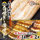 【ふるさと納税】【紅白味わいセット】国産うなぎの白焼き大1匹・蒲焼き中2串《戸村川魚店》【配送不可地域：離島・沖縄県】【1039046】