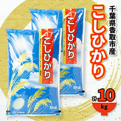 【ふるさと納税】千葉県香取市産 の お米 100% コシヒカ