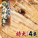 【ふるさと納税】戸村川魚店の国産うなぎ 白焼き特大サイズ 4尾 セット【配送不可地域：離島・沖縄県】【1056653】