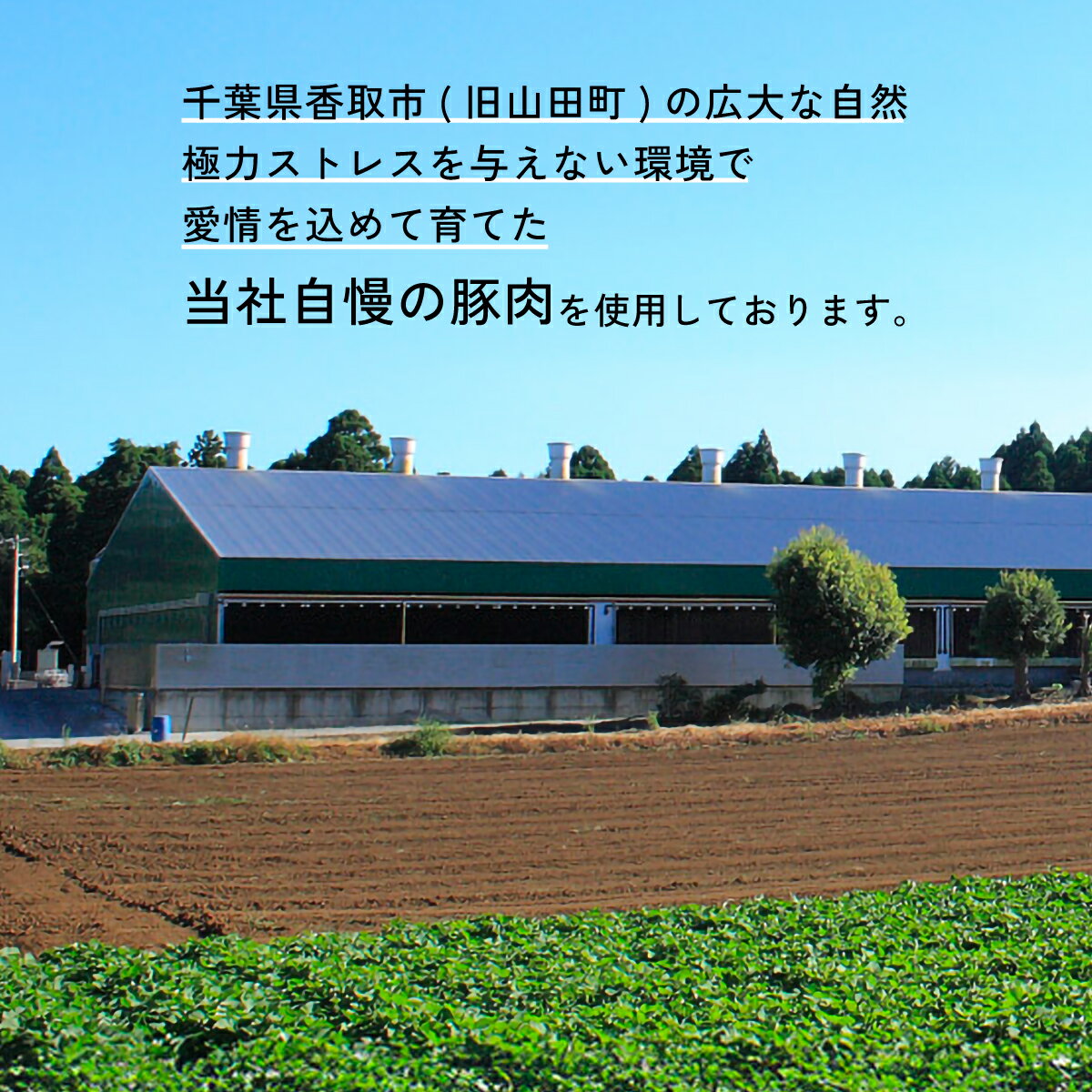 【ふるさと納税】【訳あり】千葉県香取市産三元豚　粗挽きハーブフランクフルト 20本セット(総重量1.2kg) KTRCH001