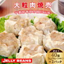 【ふるさと納税】【訳あり】千葉県香取市産三元豚 大粒肉焼売 40個【1kg(50g×20個入)×2パック】 KTRCH004