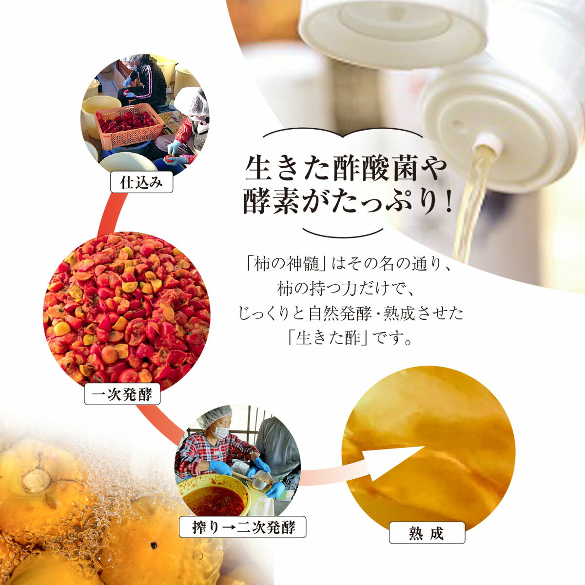 【ふるさと納税】香取市産　酵素酢 柿の神髄　ギフト缶レギュラー(500ml×1本入・贈答可) KTRAK001