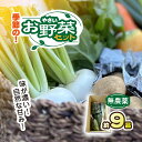 【ふるさと納税】栽培期間中 農薬不使用 季節のお野菜セット KTRCP001 / 野菜 やさい 旬 季節 詰合せ お野菜セット 9品目 3~5人家族用 健康 和楽志 わがくし 千葉県 香取市
