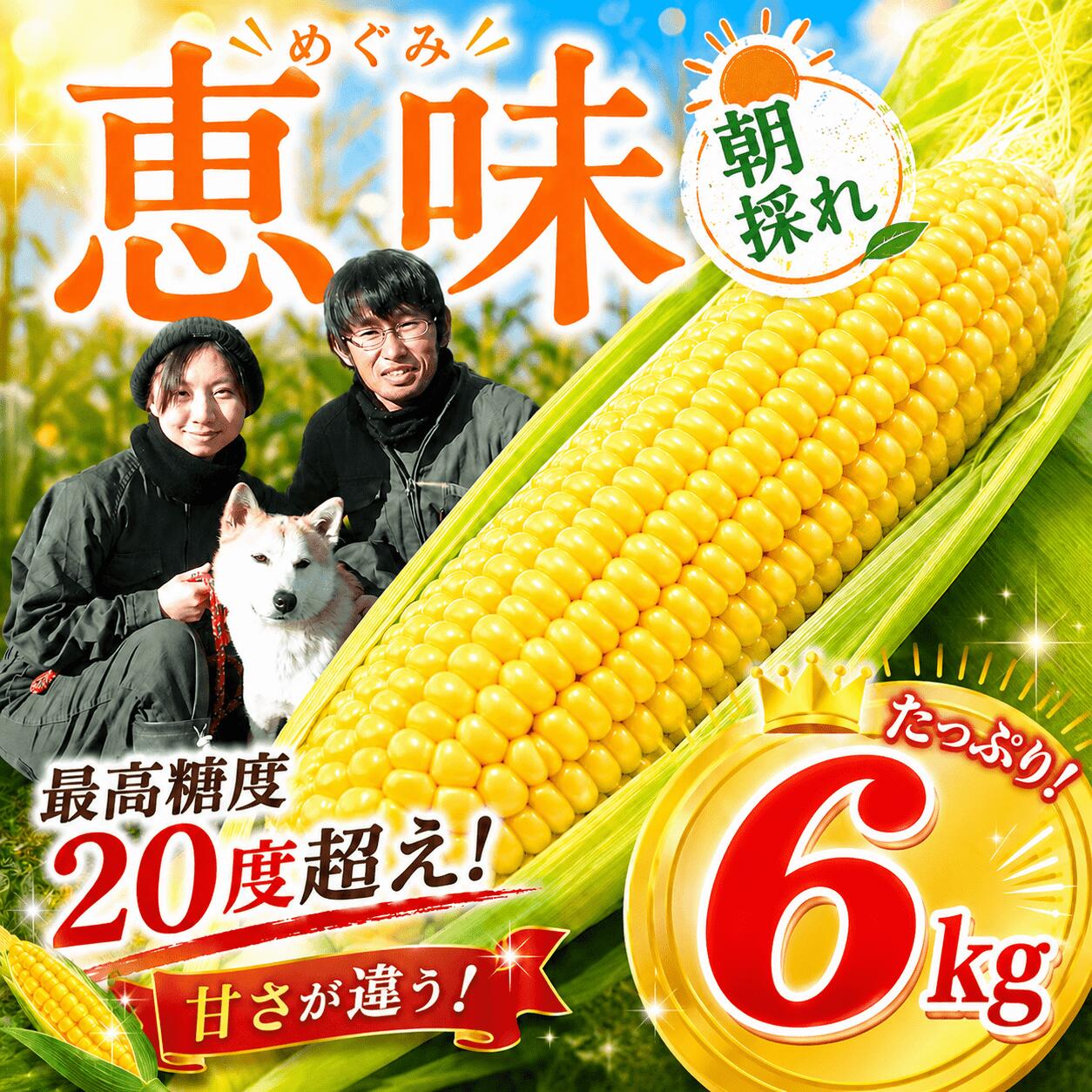 返礼品説明 【先行予約】【来季2027年発送分】 佐原ベリーファームのトウモロコシは抜き打ちで糖度を計測しており、最高糖度20度に達することもあるくらい甘く、さらに美味しさとコクがあります。 そのため採れたては生でも食べられます。 甘さと美味しさの秘訣は、 1.通常よりも広い株間、通路で栽培することにより太陽の光を沢山浴びてます！ 2.トウモロコシに適した土壌作りをしてます！ 3.トウモロコシの収穫適期は2~3日。オーナー夫婦が収穫適期の朝3時から1本1本手作業で確認しながら、完熟で実がしっかり詰まったとうもろこしのみを丁寧に収穫して、その日のうちに出荷してます！ 収穫の際、先端部分を1本1本剥いて、先端まで実が入っているか、未熟・過熟でないか、虫が入っていないか等、人の目で確認作業を行っております。 先端部分が剥かれておりますこと、ご理解ご了承のうえ、ご寄附下さい。 スーパーでは買えないようなトウモロコシをご家庭でご堪能ください！ 名称 とうもろこし 内容量 約6kg 賞味期限 お早めにお召し上がりください。 保存方法 ■涼しい冷暗所か冷蔵庫で保存し、なるべく早めに加熱処理して冷蔵・冷凍保存してください。 ■到着後なるべく早く加熱処理をして召し上がっていただくか、粗熱をとった後、1本づつラップで包み冷凍保存して、召し上がる際に電子レンジで温めなおしてください。 申込期日 【先行予約】2026/08/25~2027/08/16 ■2027/08/16 23:59までに決済（振込）を完了してください。 ■受付期間内でも、予定数量に達した場合は受付終了します。 配送事項 入金確認後【2027/06/10~2027/08/20】の間で順次発送予定 ※季節商品などの期間限定商品は、収穫時期になり次第発送いたします。 ■3日以上不在になるご予定がありましたら、必ずご記入ください。 ご不在が続いたことで果実が傷んだ場合、代品等の対応はいたしかねます。 ■発送時期は目安です。生育状況により前後する場合があります。 ※配送指定日不可 ※配送時間指定可 提供元 佐原ベリーファーム 注意事項・備考 ■必ず、お届け日当日に開封してください。 ■到着後、お早めにお召し上がりください。 ■開封後、傷んだものがないか底の方まで確認してください。 ■味に関するご意見・ご感想につきましては、味覚は個人差がありますので、返礼品の品質向上に務めるための貴重なご意見として参考にさせていただきます。 ■返礼品に異常が見られる場合、画像添付の上、到着当日から翌日までにご連絡ください。 ※到着当日から翌日までにご連絡いただかなければ、対応いたしかねます。 ■天候等の影響によって、品質不良が生じ、お届けできなくなる場合があります。（この場合は、代品対応となりますので、ご了承の上、お申し込みいただきますようお願いします。） ※画像はイメージです。 ・ふるさと納税よくある質問はこちら ・寄付申込みのキャンセル、返礼品の変更・返品はできません。あらかじめご了承ください。「ふるさと納税」寄付金は、下記の事業を推進する資金として活用してまいります。（1）移住・定住の促進と関係人口の創出・拡大（2）香取で産み、香取で育てる環境の整備（3）競争力のある産業の育成と安定した雇用の実現（4）香取の魅力を活かした生活環境の向上（5）多様な人材が集う多文化共生社会の推進（6）時代の変化に対応した地域の創造（7）その他市長が必要と認める事業◆寄附金受領証明書(圧着ハガキ)について寄附金受領証明書は、申込完了日から2週間程度で送付します。◆ワンストップ特例申請についてワンストップ希望有無に関わらず 全寄附者へ「寄附金受領証明書（圧着ハガキ）のみ」送付します。※ワンストップ特例制度の適用を希望される場合は、送付する「寄附金受領証明書（圧着ハガキ）」の案内に従い申請してください。※オンライン申請をご希望の場合は、「自治体マイページ」より申請をお願いいたします。※書類提出をご希望の場合は、「寄附金税額控除に係る申告特例申請書」に必要事項を記入の上、提出してください。 同じ事業者の他人気返礼品はこちら佐原ベリーファームの香取市人気返礼品訳あり冷凍ブルーベリー1.5kg[寄付金額]10,000円お申込みはこちらから>