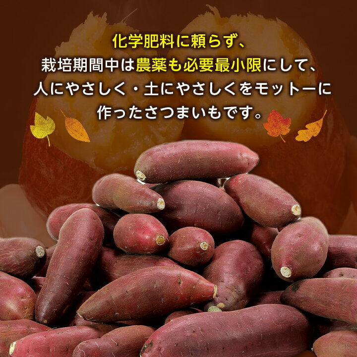 【ふるさと納税】【 訳あり 】 香取市産 さつまいも 紅はるか 約5kg ×1 _ サツマイモ さつま芋 焼き芋 べにはるか 送料無料 【配送不可地域：離島・沖縄県】【1421682】