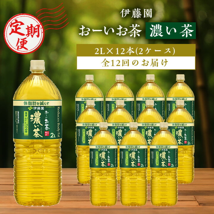 【ふるさと納税】【毎月定期便】おーいお茶濃い茶2L 12本(2ケース)伊藤園全12回【配送不可地域：離島・沖縄県】【4003289】