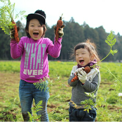 【ふるさと納税】 ザファーム 貸農園会員 ( THE FARM MEMBER) 1年間 利用券 _ 体験 野菜 子供 親子 野菜 【配送不可地域：離島・沖縄県】【1041116】 3