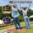 yӂ邳Ɣ[ŁzBBQLvȂǂy߂镡{ THE FARMp@3,000~y1273195z