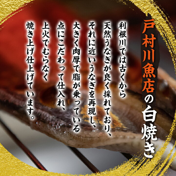 【ふるさと納税】戸村川魚店 の 国産 うなぎ 白焼き 大サイズ 2尾 セット _ 鰻 ウナギ 蒲焼 うな重 うな丼 ひつまぶし 土用 丑の日 人気 送料無料 【配送不可地域：離島・沖縄県】【1039045】