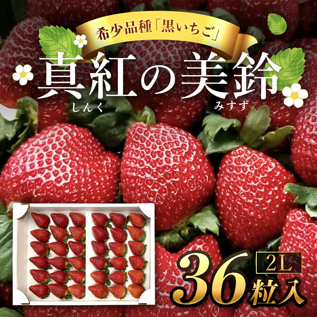 【先行予約/2024年12月配送開始】希少品種 黒いちご 真紅の美鈴 2L 36粒入り／ 真紅の美鈴 苺 粒 濃厚 果汁 希少 しんくのみすず いちご イチゴ 美味しい 贈答 ギフト お取り寄せ 送料無料 千葉県 SMAN001