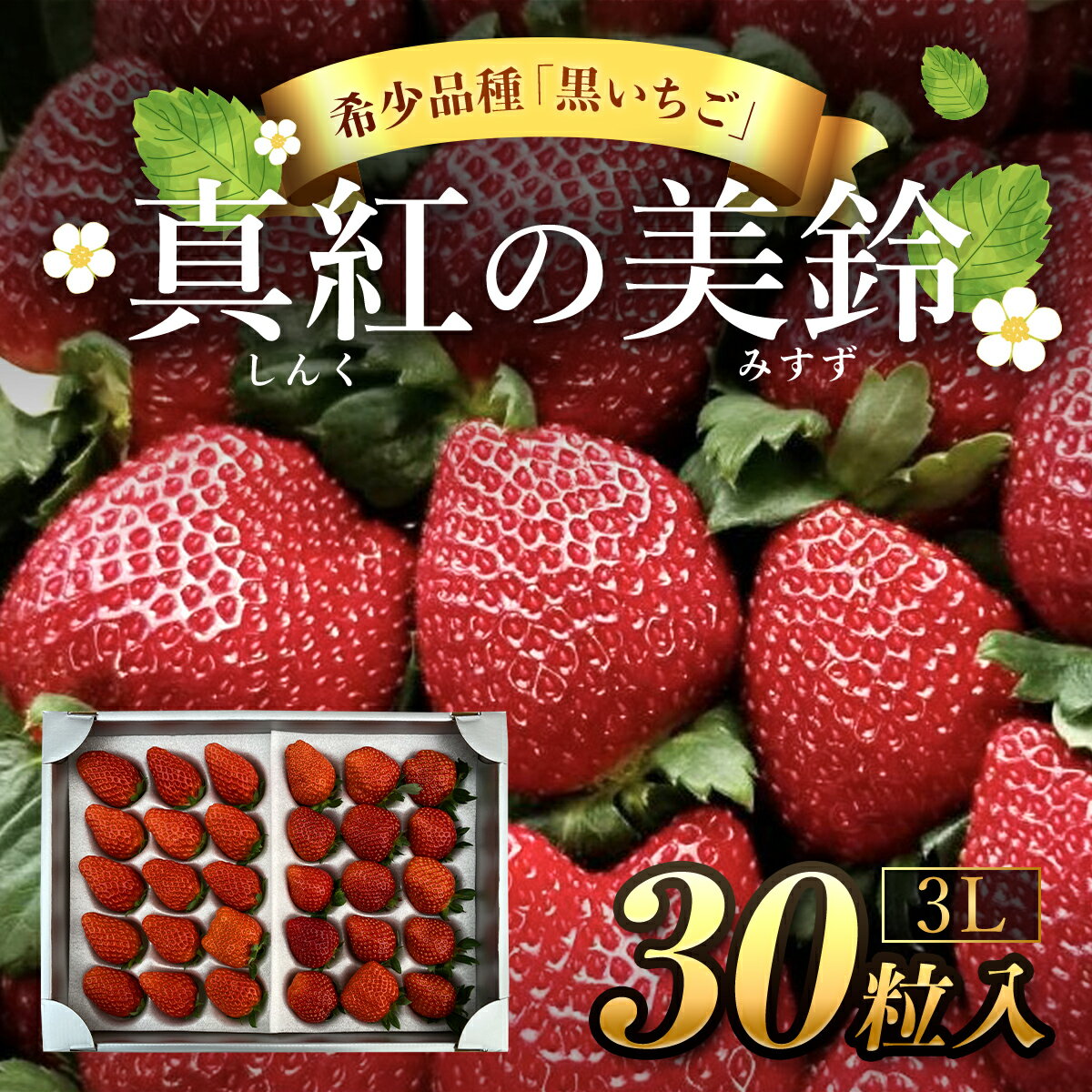 【ふるさと納税】【先行予約/2024年12月配送開始】希少品種 黒いちご 真紅の美鈴 3L30粒入り／ 真紅の...