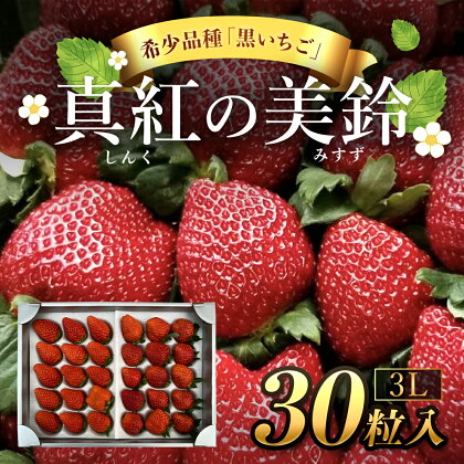 【先行予約/2024年12月配送開始】希少品種 黒いちご 真紅の美鈴 3L30粒入り／ 真紅の美鈴 苺 粒 濃厚 果汁 希少 しんくのみすず いちご イチゴ 美味しい 贈答 ギフト お取り寄せ 送料無料 千葉県 SMAN002