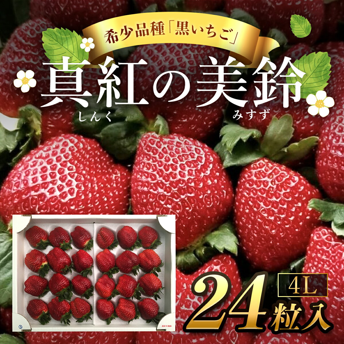 【先行予約/2024年12月配送開始】希少品種 黒いちご 真紅の美鈴 4L24粒入り／ 真紅の美鈴 苺 粒 濃厚 果汁 希少 しんくのみすず いちご イチゴ 美味しい 贈答 ギフト お取り寄せ 送料無料 千葉県 SMAN003