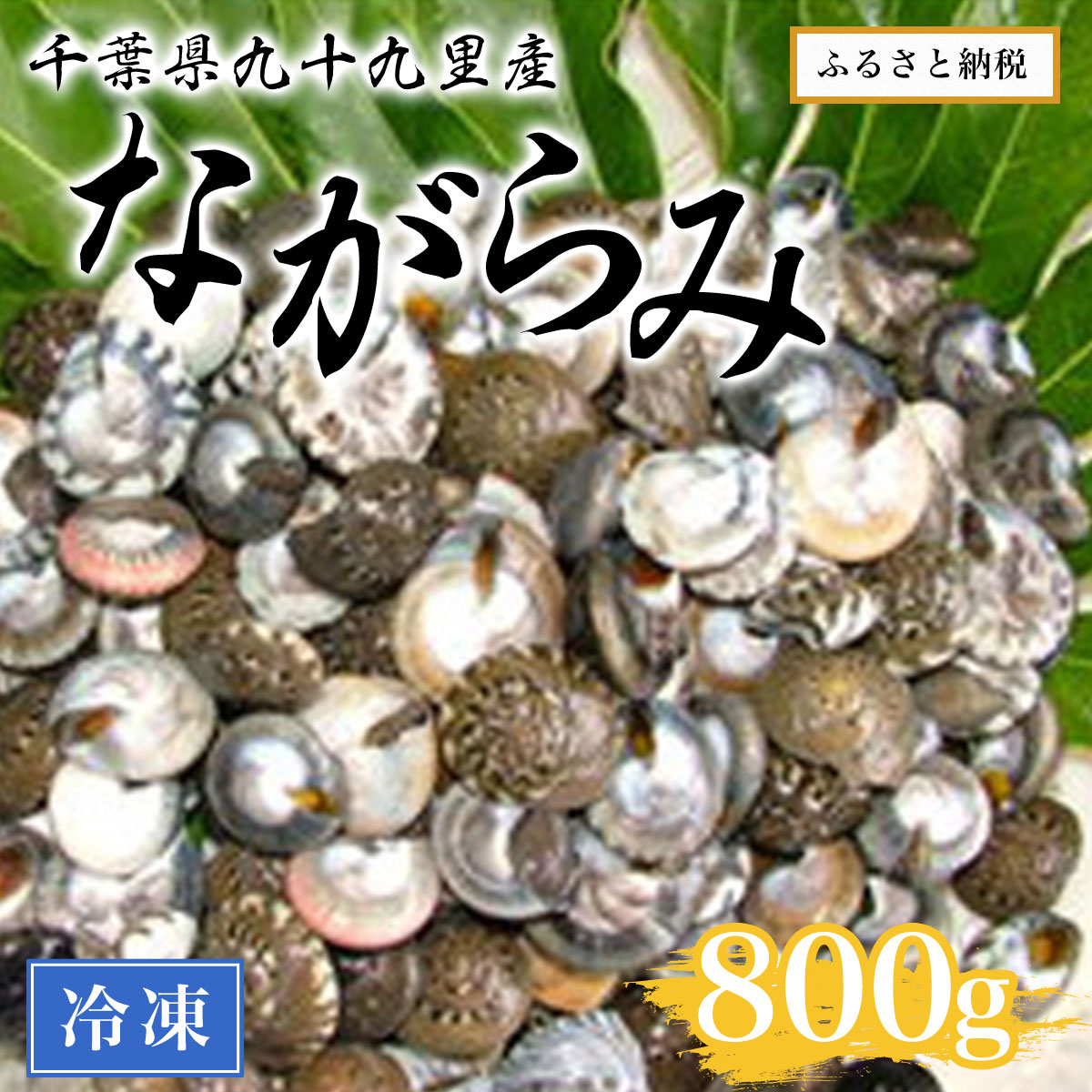 千葉県九十九里産ながらみ(冷凍)800g / 魚介 貝 ながらみ 国産 ボイル済み 送料無料 千葉県