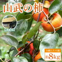 【ふるさと納税】【先行予約2025年10月下旬発送開始】山武の柿 約8kg(24個入り×1箱) 【 ふるさと納税 人気 おすすめ ランキング 柿 かき カキ 果物 フルーツ 秋の味覚 旬の果物 くだもの 千葉県 山武市 送料無料 】SML001