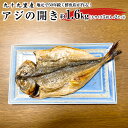 【ふるさと納税】地元で50年続く鮮魚店が作る、九十九里産アジの開き(5枚入り×2セット) ふるさと納税 人気 おすすめ ランキング イワシ 鰯 魚 鮮魚 海鮮 ...
