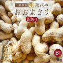 【ふるさと納税】 【先行受付・9月上旬より順次発送!】【訳あり】おおまさり 生落花生 1kg /ふるさと納税 落花生 生 生落花生 おおまさり 生おおまさり B...
