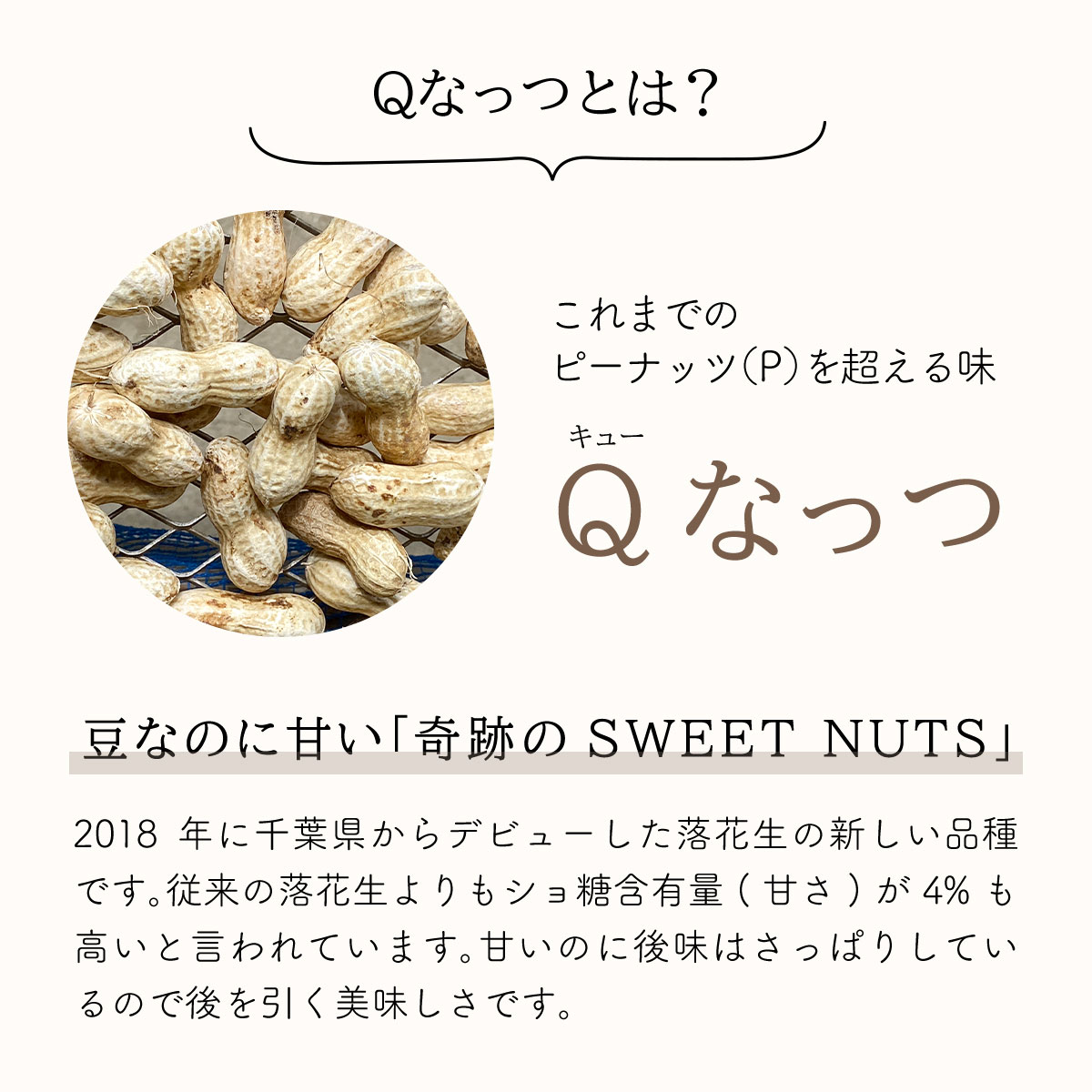 【ふるさと納税】 【先行受付・9月上旬より順次発送！】【訳あり】Qナッツ 生落花生 1kg ／ふるさと納税 落花生 生 生落花生 Qナッツ Qなっつ 新品種 希少 訳あり 訳アリ 家庭用 お徳用 旬 季節限定 あっさり 香ばしい 甘い 塩ゆで おやつ おつまみ 千葉県 山武市 SMAH015