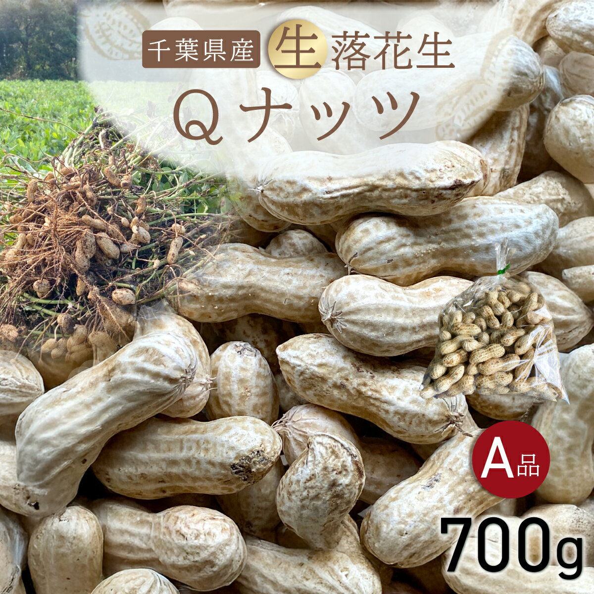 [先行受付・9月上旬より順次発送!]Qナッツ 生落花生 700g /ふるさと納税 落花生 生 生落花生 Qナッツ Qなっつ A品 新品種 希少 旬 季節限定 あっさり 香ばしい 甘い 塩ゆで おやつ おつまみ 千葉県 山武市