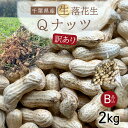 【ふるさと納税】 【先行受付・9月上旬より順次発送!】【訳あり】Qナッツ 生落花生 2kg /ふるさと納税 落花生 生 生落花生 Qナッツ Qなっつ 新品種 希少 訳あり 訳アリ 家庭用 お徳用 旬 季節限定 あっさり 香ばしい 甘い 塩ゆで おやつ おつまみ 千葉県 山武市 SMAH016