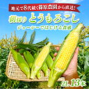【ふるさと納税】【先行予約】【6月上旬~中旬発送】地元で8代続く農家から直送! 朝採り とうもろこし 2L 13本 / 篠原農園 とうもろこし トウモロコシ スイートコーン コーン ゴールドラッシュ 朝採り 農家直送 千葉県 千葉県山武市 SMBV001