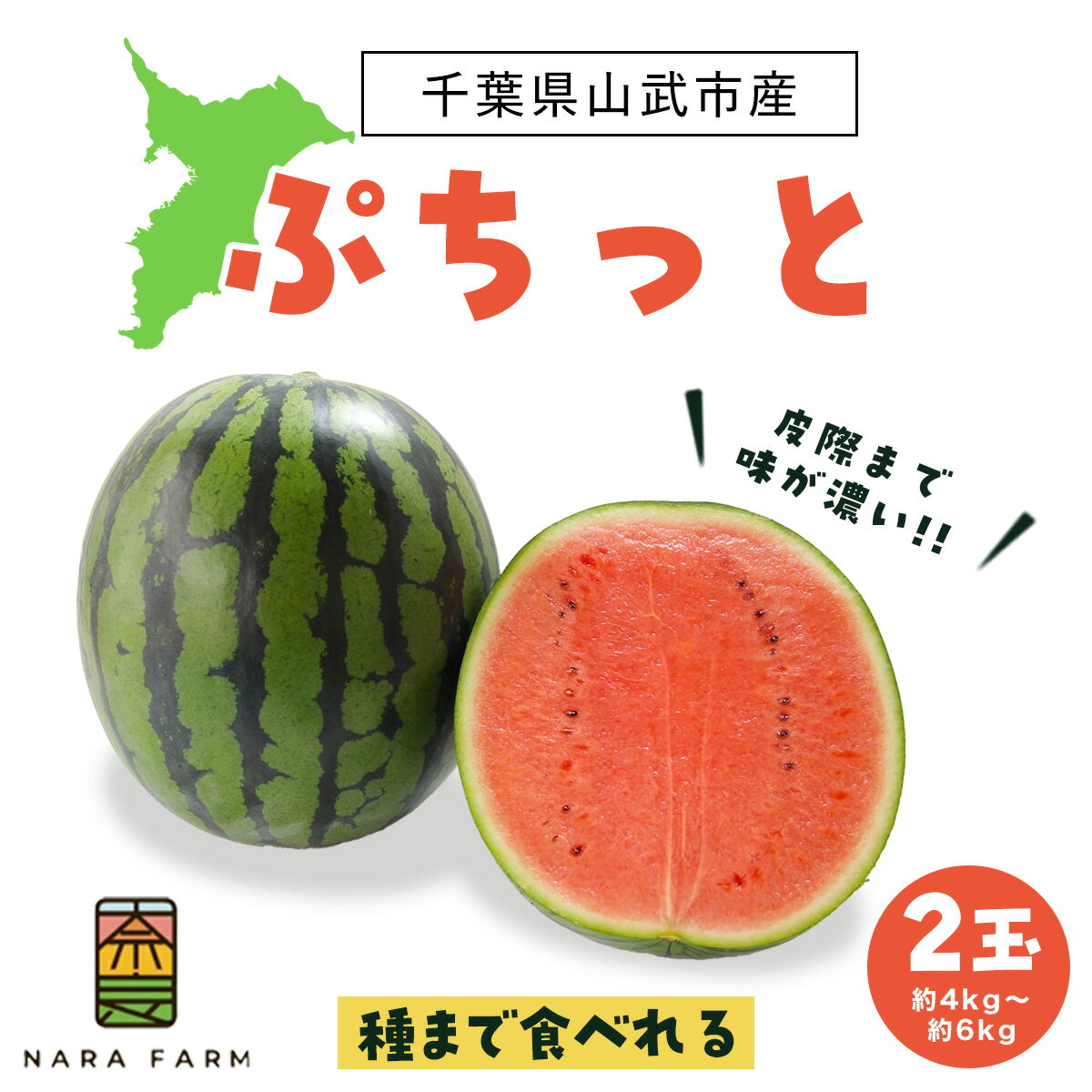 【ふるさと納税】 ぷちっと2玉入り【 ふるさと納税 人気 おすすめ ランキング ぷちっと2玉入り スイカ 西瓜 すいか 果物 フルーツ 国産 産地直送 甘い 野菜 千葉県 山武市 送料無料 】 SMAF006