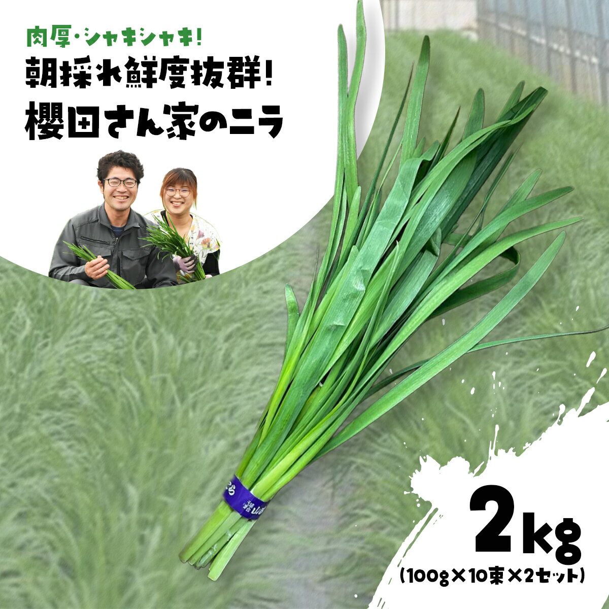 【ふるさと納税】【先行予約】【12月から発送】肉厚・シャキシャキ! 朝採れ鮮度抜群! 櫻田さん家のニラ 2kg(100g×10束×2セット) ふるさと納税 にら...