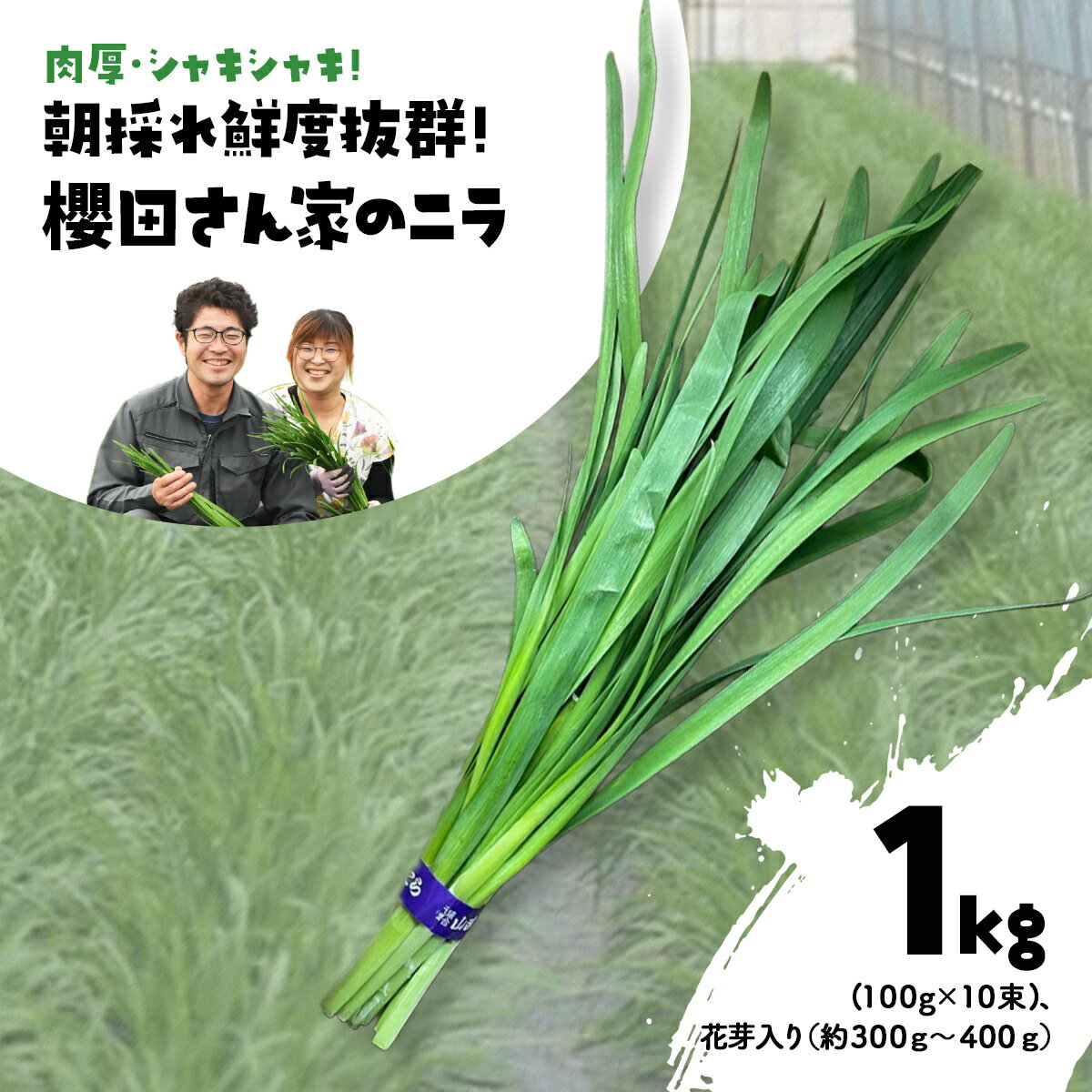 【ふるさと納税】【先行予約】【2026年7月から発送】肉厚・シャキシャキ! 朝採れ鮮度抜群! 櫻田さん家のニラ 2kg(100g×10束×2セット) ふるさと納...