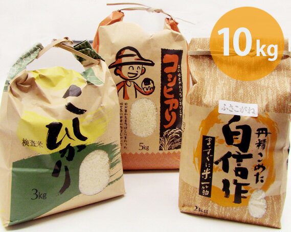 千葉県産のお米 10kg / お米 精米 こしひかり コシヒカリ ふさこがね 送料無料 千葉県