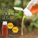【ふるさと納税】日本蜜蜂のはちみつ【1234187】