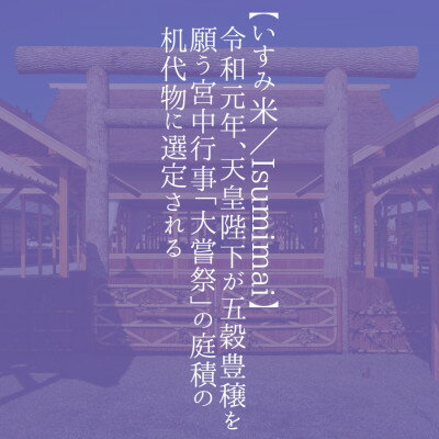 【ふるさと納税】【令和5年産】コシヒカリ 10kg 無洗米【1326384】