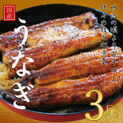 27位! 口コミ数「0件」評価「0」鰻の老舗　千葉県いすみ市藤井のうなぎ白焼き(3匹)【配送不可地域：離島・沖縄県】【1391298】