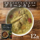 【ふるさと納税】南部どり使用 グリーンカレーレトルト12食セット【1394532】