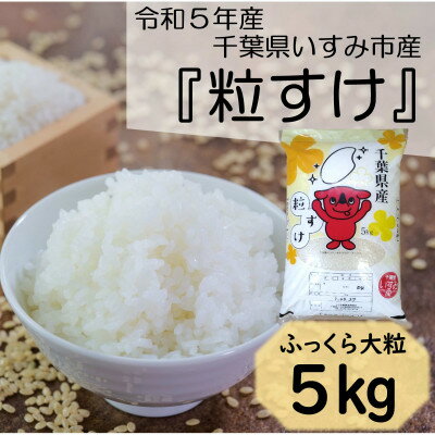 【令和5年産】　ふっくら大粒　千葉県いすみ市産粒すけ　精米5kg【1438762】